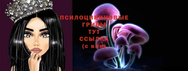 эйфоретик Алексеевка