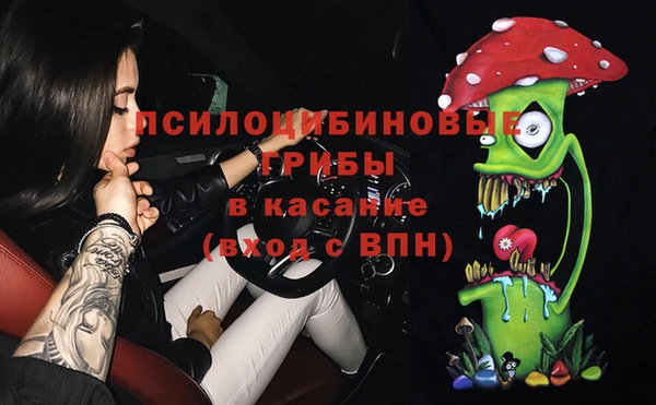 винт Алексин