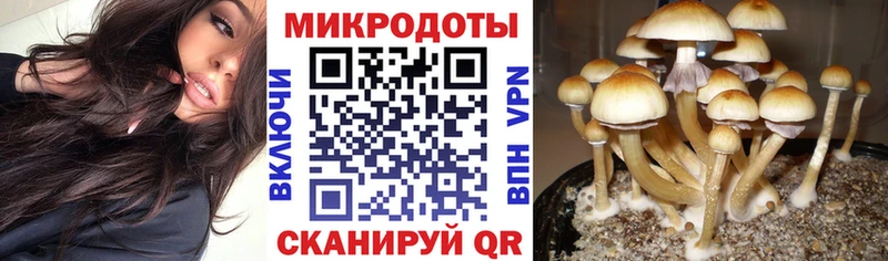 omg как зайти  Троицк  Галлюциногенные грибы ЛСД  что такое наркотик 